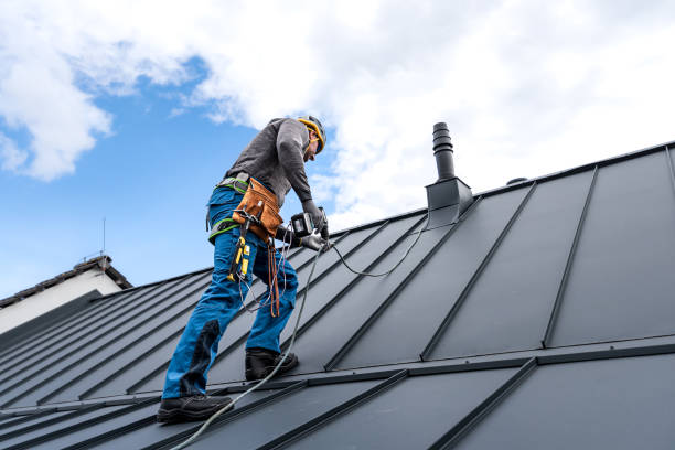 Best Commercial Roofing Services  in Appleton, WI